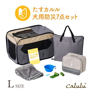 Calulu p h 7_ZbgL | ybgpi hЃObY obO Q[W  t[hgC o s