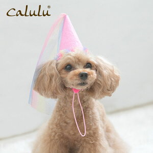 Calulu J p[eB[nbgbybgpi@ a ObY Xq X^C a ߑ pX^C nbg o[Xf[ ybgp  p[eB[Zbg