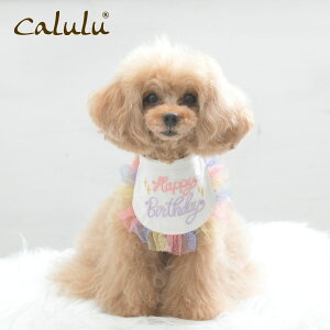 Calulu@J@p[eB[X^Cybgpi@ a ObY Xq X^C a ߑ pX^C nbg o[Xf[ ybgp  p[eB[Zbg