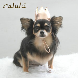 Calulu J Ajo[T[NE ybgpi@ a ObY Xq X^C a ߑ pX^C nbg o[Xf[ ybgp  p[eB[Zbg