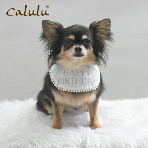 Calulu J Ajo[T[X^C ybgpi@ a ObY Xq X^C a ߑ pX^C nbg o[Xf[ ybgp  p[eB[Zbg