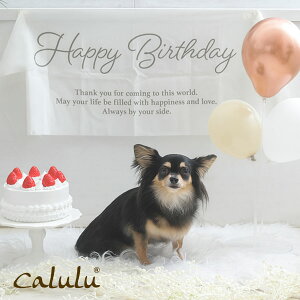 Calulu カルル アニバーサリータペストリー ペット用品 犬 誕生日 グッズ 帽子 スタイ 誕生日 衣装 犬用スタイ ハット バースデー ペット用 おもちゃ パーティーセット