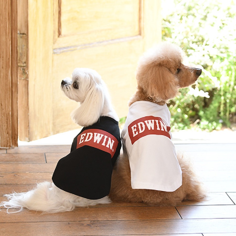 【信頼】 今ならほぼ即納 シンプルなボックスロゴシャツ EDWIN ベーシックロゴＴシャツ 犬服 トップス シャツ クール dog 21a dudleydiesel.com dudleydiesel.com