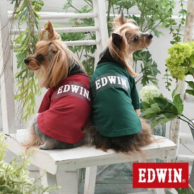 EDWIN エドウイン ボックスロゴT 犬服 トップス Tシャツ 22a SALE