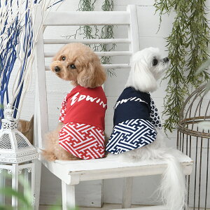 EDWIN GhEC aTVc |  gbvX Vc N[H  22s