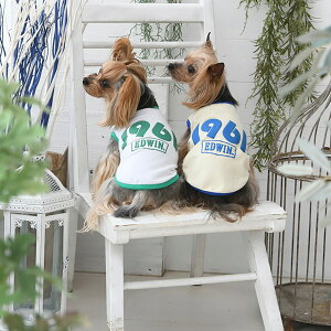 EDWIN 1961^Ngbv |  gbvX Vc N[H  GhEC GhEB 22s