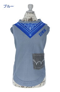 EDWIN GhEC o_iXJ[tbV^N | ^Ngbv  hbOEFA 24s