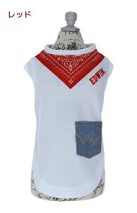 EDWIN GhEC o_iXJ[tbV^N | ^Ngbv  hbOEFA 24s