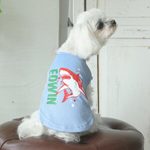 EDWIN GhEC GhEB V[NbV^N | ^Ngbv  hbOEFA 25s