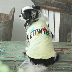 EDWIN GhEC GhEB yCgSbV^N | ^Ngbv  hbOEFA 25s