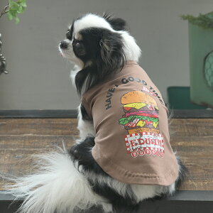 EDWIN GhEC GhEB AJo[K[^N | ^Ngbv  hbOEFA 25s