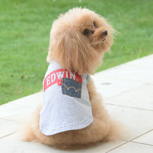 EDWIN GhEC GhEB fj|Pbg{bNXS^N | ^Ngbv  hbOEFA 25s