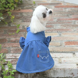 EDWIN GhEC GhEB fjCNtX[us | s[X XJ[g  hbOEFA 25s