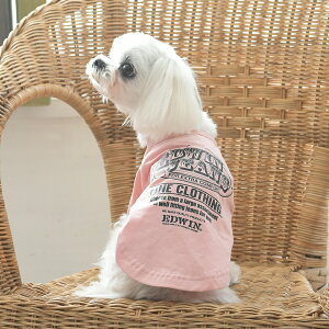 EDWIN GhEC GhEB re[WT[tTVc | Vc TVc  hbOEFA 25s