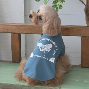 EDWIN GhEC GhEB ^`ETVc | Vc TVc  hbOEFA 25s