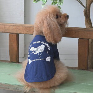 EDWIN GhEC GhEB ^`ETVc | Vc TVc  hbOEFA 25s