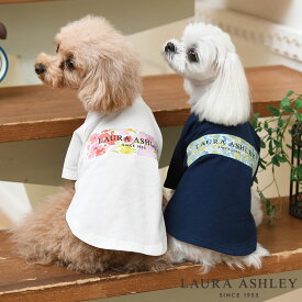 LAURA ASHLEY ボックスロゴTシャツ | 23s 犬服 ローラアシュレイ SALE