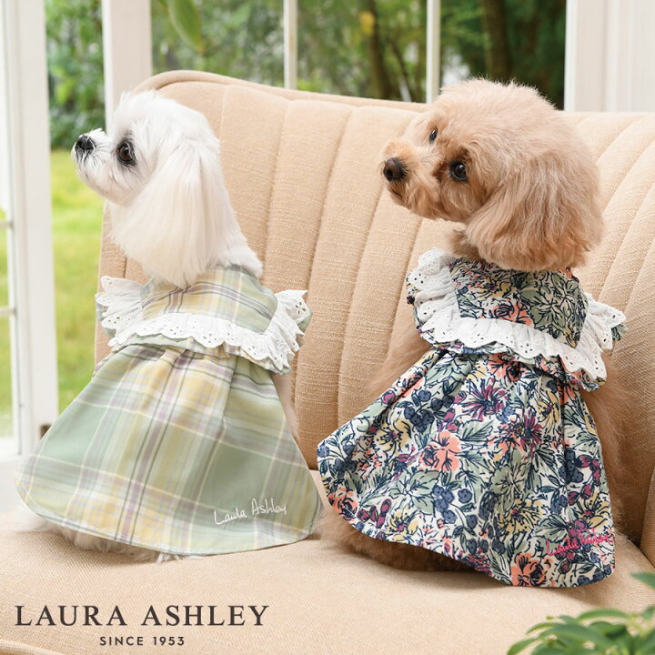楽天市場】LAURA ASHLEY ショルダーコットンフリルワンピース | 23s 犬 
