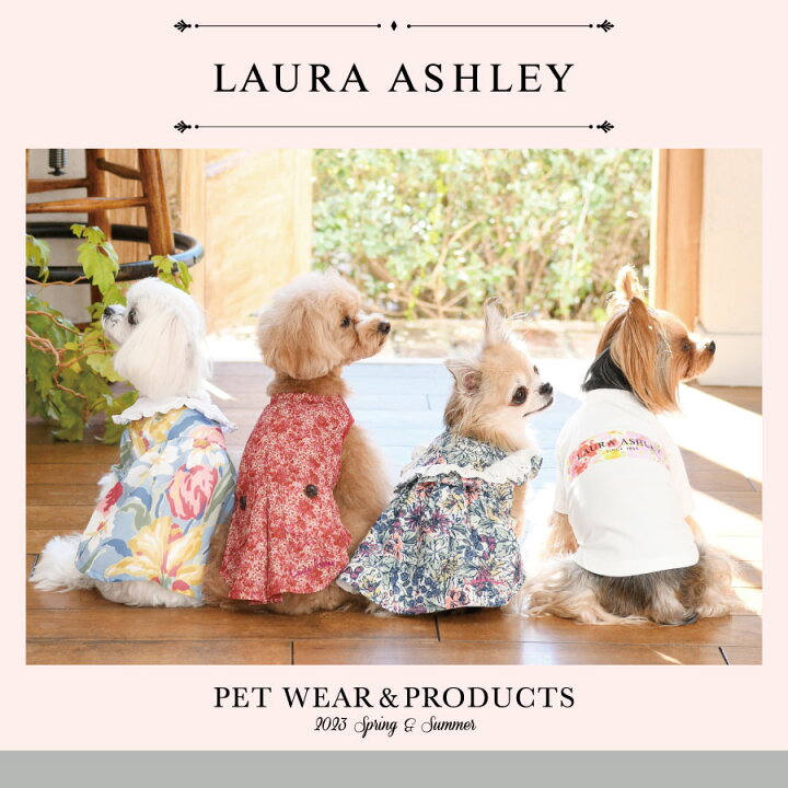 楽天市場】LAURA ASHLEY 白襟付きワンピース | 23s 犬服 ローラ 