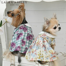 LAURA ASHLEY ローラアシュレイ コットンレース襟ワンピース | ワンピース 犬服 ドッグウェア 24s
