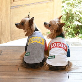 LOGOS ロゴス ボックスロゴT | シャツ 犬服 トップス シャツ 21a SALE