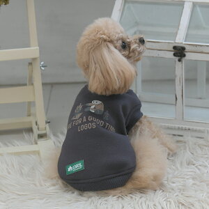 2025NV LOGOS SX Lvp_XEFbg | g[i[ XEFbg  hbOEFA 25a