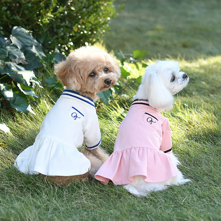 楽天市場】ONE OCTAVE ポロシャツワンピ 犬服 トップス シャツ 22s 