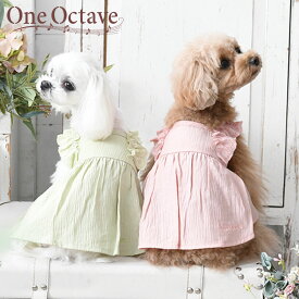 ONE OCTAVE フリルショルダーワンピ 23sワンピース 犬服 ワンオクターブ ワンオクターヴ SALE