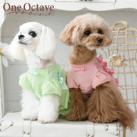 ONE OCTAVE ワンオクターブ ワンオクターヴ ワンオク リボンワンピ | ワンピース 犬服 ドッグウェア 2024 新作 24s