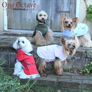 ONE OCTAVE CEGA CR[g Xk[ht  etH |  Jbp |` IN^[u IN^[