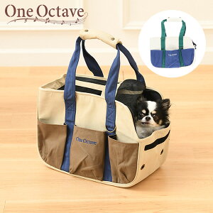 ONE OCTAVE L[g[g oCJ[ b L \tgL[obO IN^[u IN^[ 22a