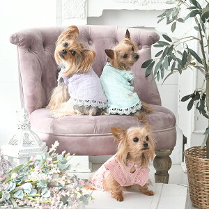 ROPE' PICNIC ysNjbN [Xs[X  gbvX s[X 22s SALE