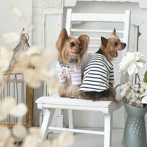 ROPE' PICNIC ysNjbN [XAbv{[_[TVc  gbvX Vc 22s