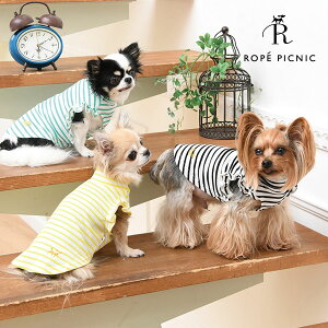 ROPE PICNIC V_[tuJbg\[ 23s  ysNjbN