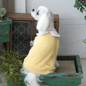 ROPE PICNIC ysNjbN ݕtjbgJ[f | jbg  hbOEFA 24a