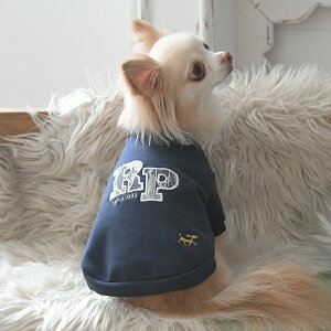 2025NV ROPE PICNIC ysNjbN [XSg[i[ | g[i[ XEFbg  hbOEFA 25a