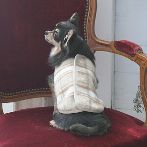 2025NV ROPE PICNIC ysNjbN `FbN{AxXg | t[X {A xXg  hbOEFA 25a