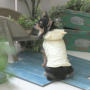 2025NV ROPE PICNIC ysNjbN N}ȃxXg | Wp[ t[gt  hbOEFA 25a