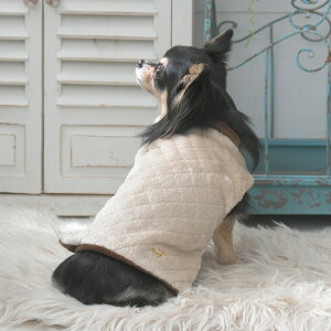 2025NV ROPE PICNIC ysNjbN LeBOZ | ͂Ă 񂿂  hbOEFA 25a