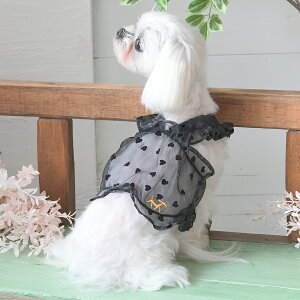 ROPE PICNIC ysNjbN V[X[n[gV[gL~ | L~\[  hbOEFA 25s