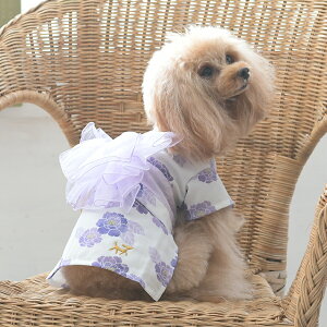 ROPE' PICNIC ysNjbN ysN  r |   hbOEFA 25s