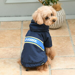 X-girl GbNXK[ S}Eep[J[ | u] Wp[ WPbg  hbOEFA 24a