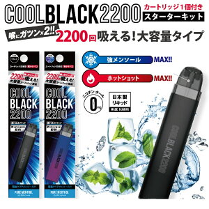 新COOL BLACK2200 クールブラック スターターキット 強メンソール 電子シーシャ 電子タバコ VAPE べイプ 持運び 節約
