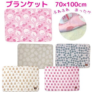 yz LN^[ Ђ| 70×100cm Ip[H uPbg 킢  ѕz ~ h ₦h~ ΍ gg WW NXP J[rB ~btB[ k WuObY 