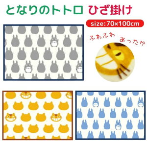 yz ƂȂ̃gg Ђ| 70×100cm uPbg X^WIWu Ђ 킢  ӂӂ ѕz ~ h ₦h~ ΍ Q gg gg lRoX L