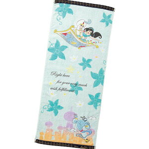 アラジン 女の子 日用品の人気商品 通販 価格比較 価格 Com