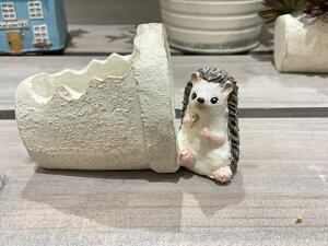 yK[f~j|bgzG\JV|bg@3985 nlY~@͂˂݁@A@K[fANZT[@@