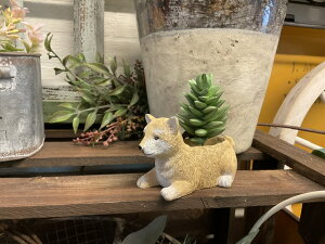 y~j|bgzVo|bg@@Ck~jTCY@|bg@i`@G݁@i`G݁@@Aؔ@@|@A ~j|bg ԁ@5e4146