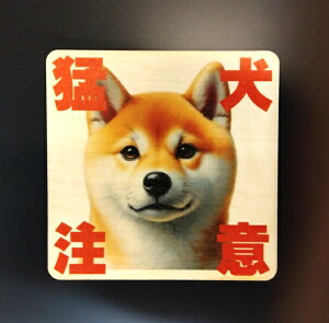 ؐ TCv[g  z hA v[g 9cm×9cmE14cm×14cmE27cm×27cm Ҍ Č ܂ яo J hƃObY hƑ΍ x ē Ăт CeA  f