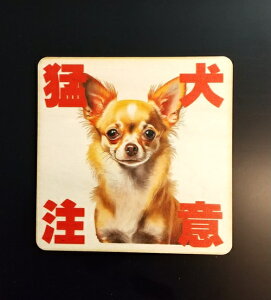 ؐ TCv[g  z hA v[g 9cm×9cmE14cm×14cmE27cm×27cm Ҍ ` ܂ яo J hƃObY hƑ΍ x ē Ăт CeA  